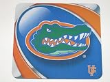 FLORIDA GATORS Team Logo 9 x 8 Computer MOUSEPAD