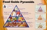 Food Guide Pyramid (Nutritional Chart) Framed Art Poster Print - 24 X 36