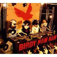 Birdy Nam Nam