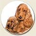 Golden English Cocker Spaniel Auto Coaster, Single Coaster for Your Car
