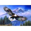 Eagle Anthem 1000pc Jigsaw Puzzle by James Meger