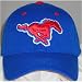 Southern Methodist Mustangs 