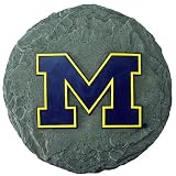 Michigan Wolverines NCAA Stepping Stone (13.5)