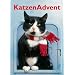 KatzenAdvent 2009: Adventskalender mit 24 T�rchen