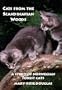 Cats from the Scandinavian Woods
