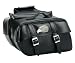 Waterproof Advanced Embedded Eagle saddlebags