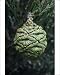 Photographic Prints of USH-2369 Giant SEQUOIA / Wellingtonia / Sierra Redwood Tree - unripened fruit from Ardea Wildlife Pets