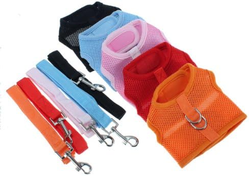 Size S Casual Pet Safety Leash With Mesh Girth Harness Vest Small
