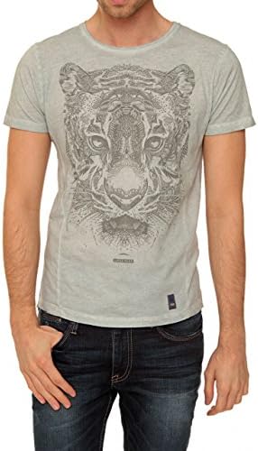 Japan Rags Graphic Tee TSH H TIGO, Color: Grey, Size: S