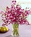 Purple Dendrobium Orchids