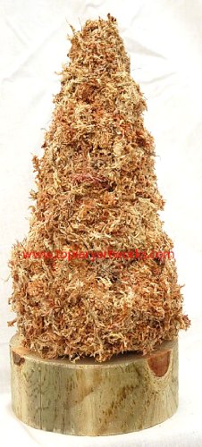 Prelit Art Christmas Trees - Christmas Tree Cone Sphagnum Moss Topiary Form