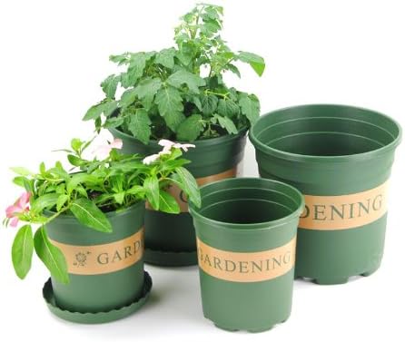 Green Round Platics Printed Global Gold High and Deep Planter with Saucers-2 Gallon 2pcs
