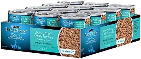 Wet Cat Food, Focus, Adult Urinary Tract Health Formula Chicken Entre, 3-Ounce Can, Pack of 24, New, Free Shipping