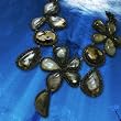 Queensland's Quarry Necklace (Great Barrier Reef)