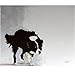 Border Collie #1 Note Cards - 25 Pack