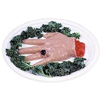 Gross Human Severed Hand Jello Ice Cream Mold Halloween