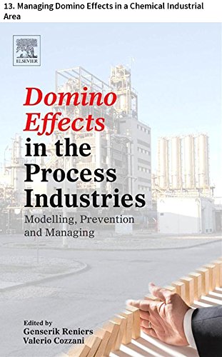 Domino Effects in the Process Industries: 13. Managing Domino Effects in a Chemical Industrial Area