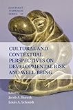 Cultural and contextual perspectives on developmental risk and well-being