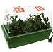 Heated Plant and Seed Starter