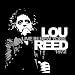 Live in New York 1972 [Vinyl LP] [Vinyl LP]