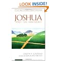 Joshua and the Shepherd