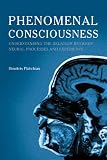 Phenomenal Consciousness: Understanding the Relation Between Neural Processes and Experience