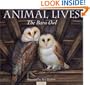 The Barn Owl (Animal Lives)