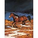 Chris Cummings Front Runner - Approaching Storm Jigsaw Puzzle 500pc