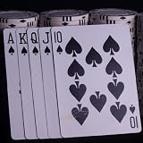 Poker Pro Guide