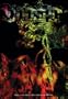 Animal Collective: Oddsac