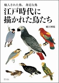 江戸時代に描かれた鳥たち　輸入された鳥、身近な鳥