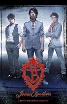Jonas Brothers 2009 Wall Calendar