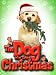 Dog Who Saved Christmas, The