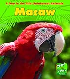 Macaw