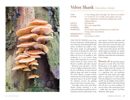 Mushrooms: River Cottage Handbook No.1