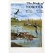Birds of Norfolk (Helm County Avifauna)