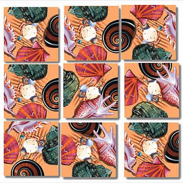 Childrens Toyshop  Toys : Sea Shells Scramble Squares Puzzle 9pc