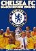 チェルシー 2008/09シーズンレビュー [DVD]