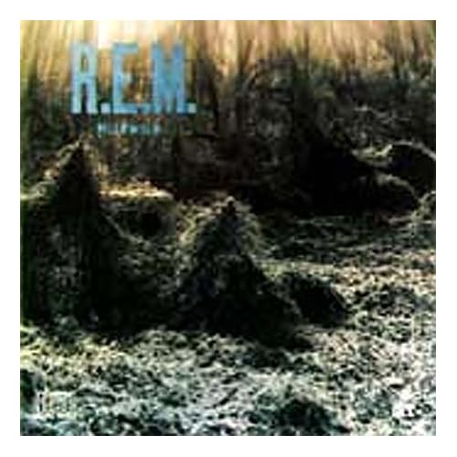 [Image: 51200WVSWGL._SS500_.jpg]