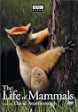 The Life of Mammals, Vol. 3