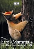 Life Of Mammals: V3