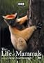 The Life of Mammals, Vol. 3