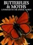 Butterflies and Moths: A Portrait of the Animal World