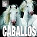 Book Caballos: Horses, Spanish-Language Edition (Cube Books)