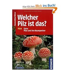 Welcher Pilz ist das?: Extra: Pilze und ihre Baumpartner