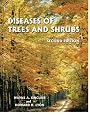 Diseases of Trees...