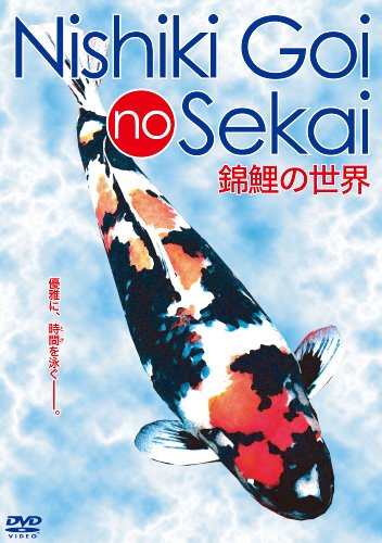 錦鯉の世界 [DVD]