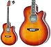 TAKAMINE Cooder TCP-450/CS GARM^[