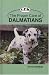Proper Care of Dalmatians