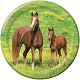 Creative Converting Wild Horses 8 Count Paper Dinner Plates